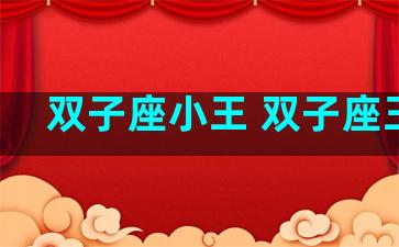 双子座小王 双子座王子